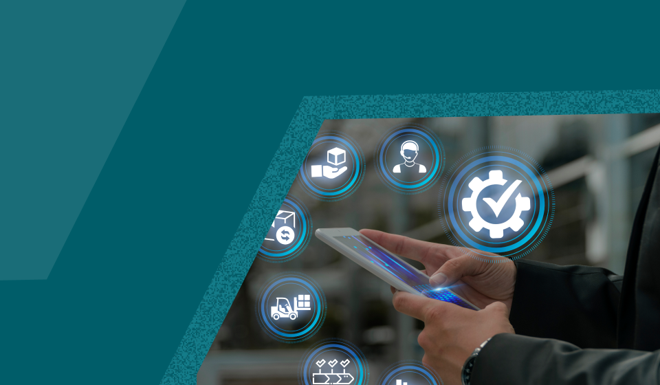 Tariff & Duty Strategy